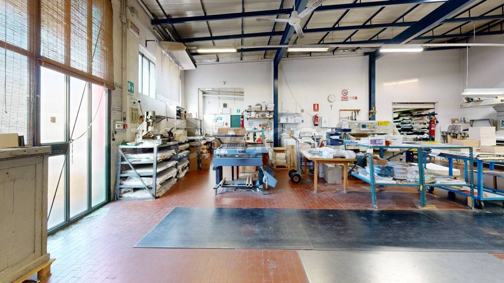 immagine annuncio 12 di 15