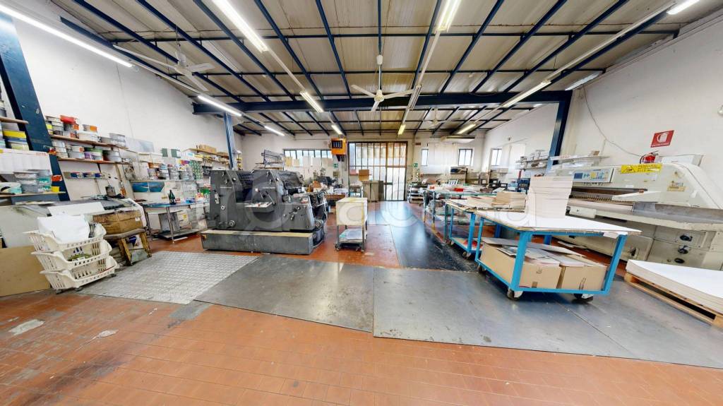 immagine annuncio 13 di 15