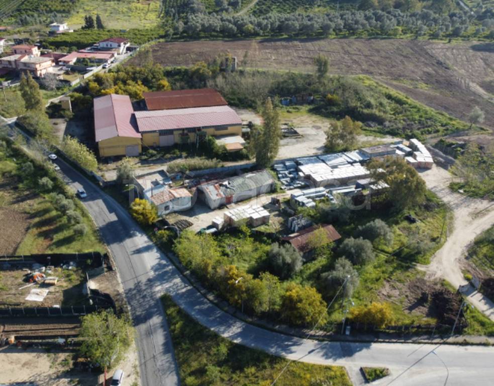 immagine annuncio 3 di 11