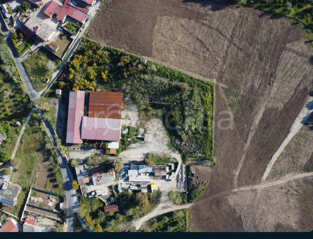 immagine annuncio 8 di 11