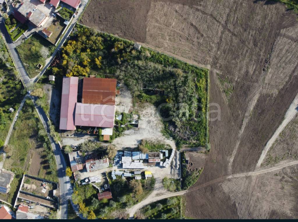 immagine annuncio 10 di 11