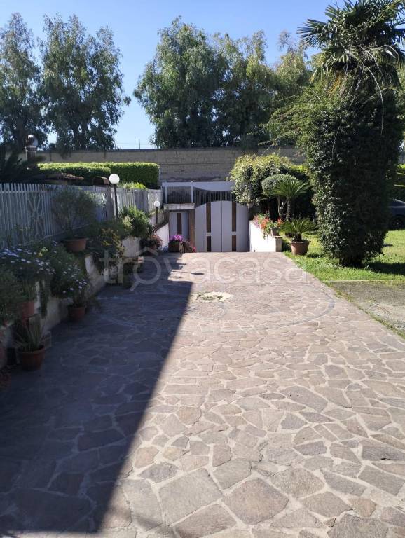 immagine annuncio 8 di 11