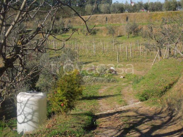 immagine annuncio 2 di 6