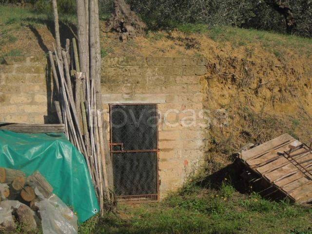 immagine annuncio 4 di 6