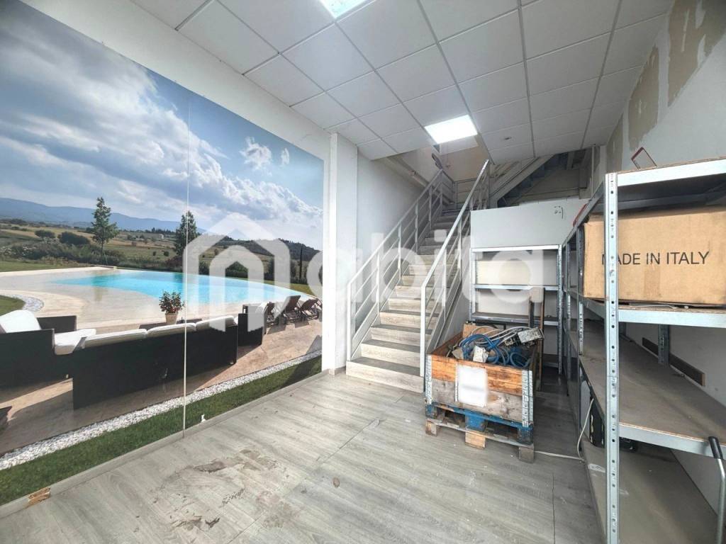 immagine annuncio 3 di 7