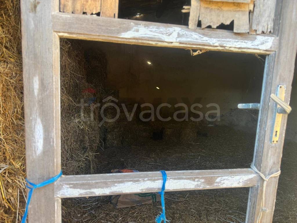 immagine annuncio 8 di 14