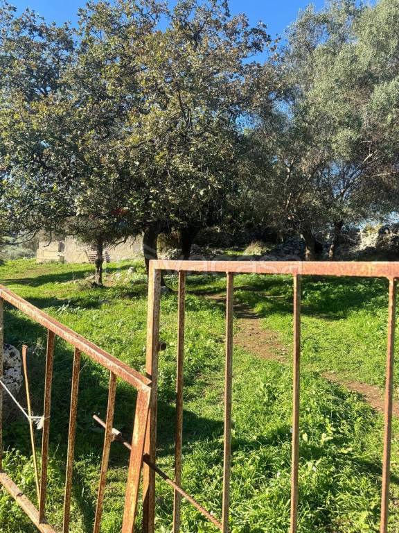 immagine annuncio 10 di 14