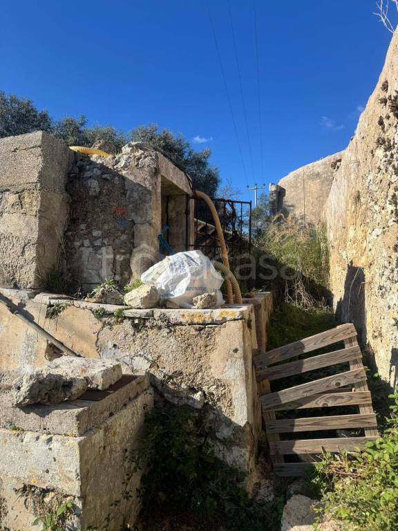 immagine annuncio 11 di 14