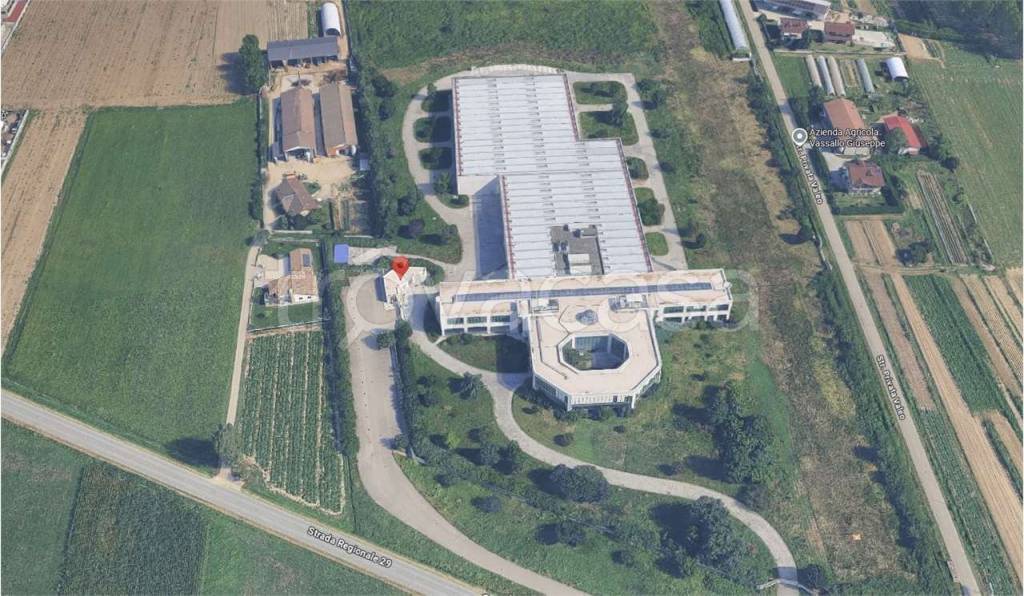 immagine annuncio 3 di 15