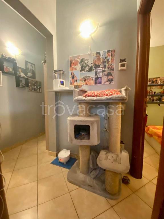 immagine annuncio 3 di 12