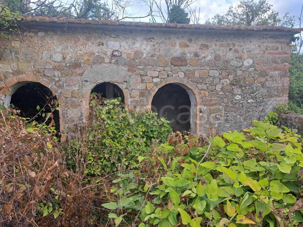 immagine annuncio 4 di 6