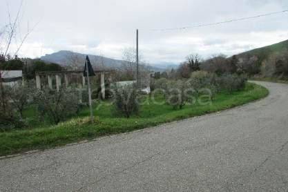 immagine annuncio 3 di 4