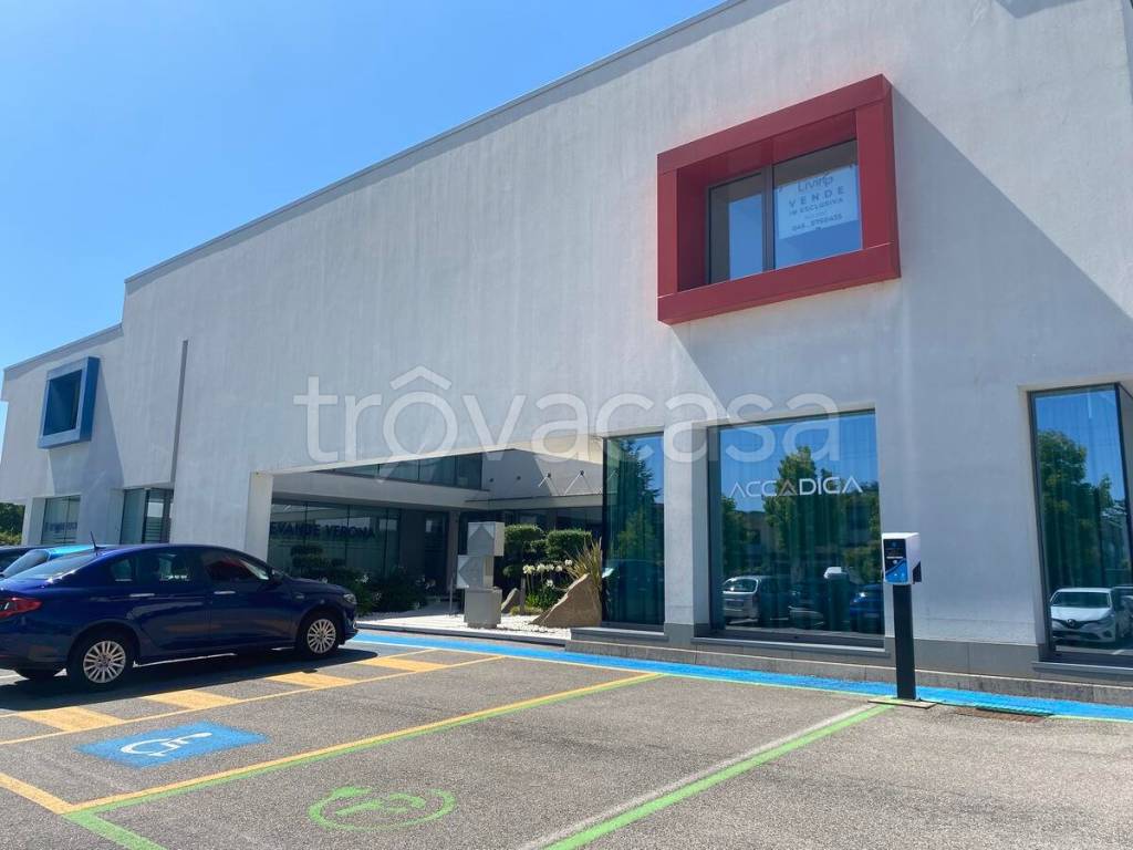 immagine annuncio 11 di 12