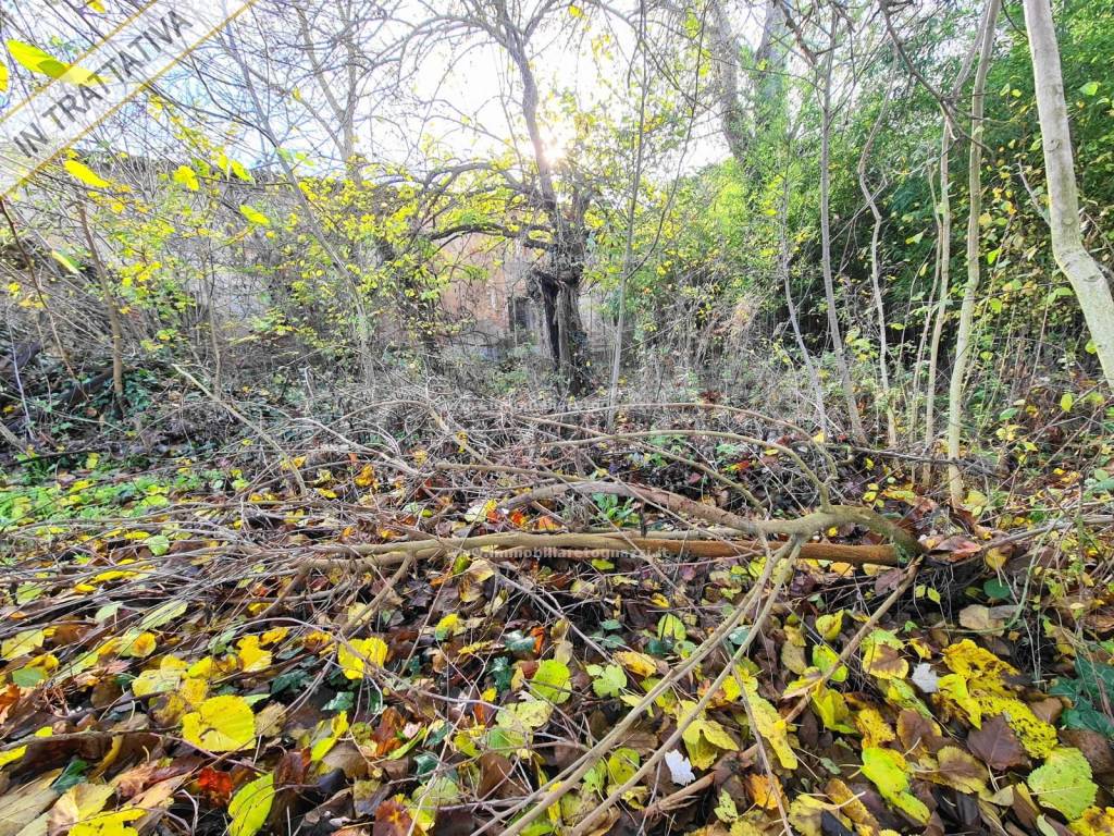 immagine annuncio 4 di 6