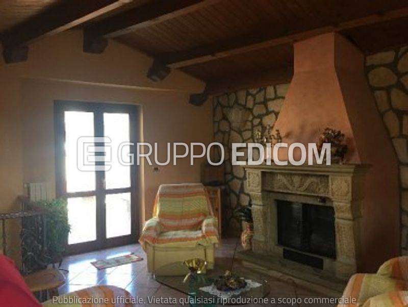 immagine annuncio 10 di 14