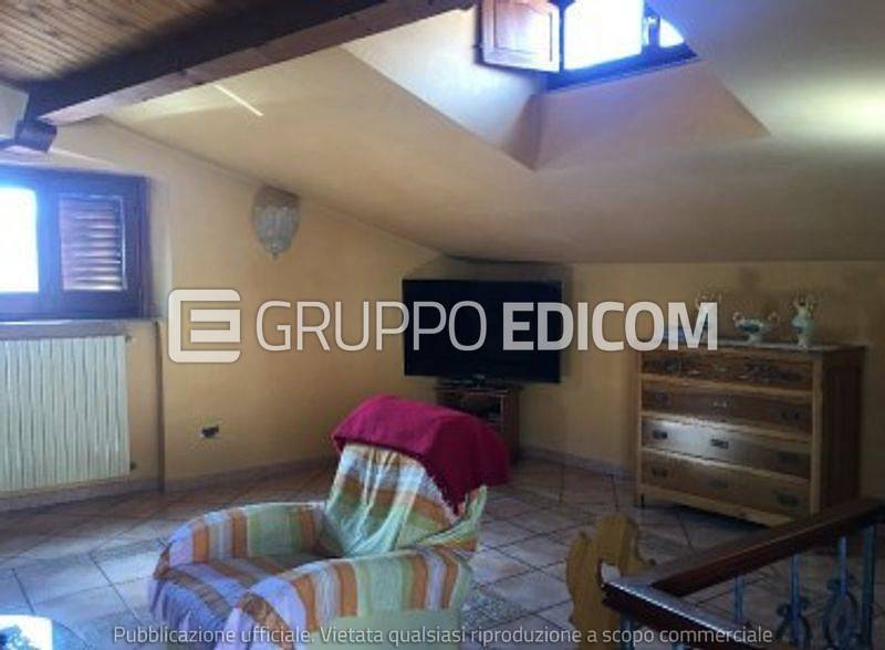 immagine annuncio 12 di 14