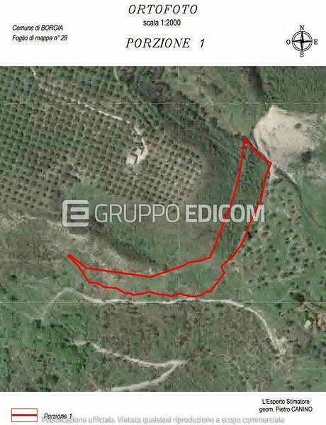 immagine annuncio 1 di 6