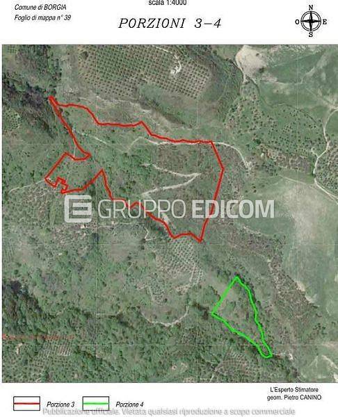 immagine annuncio 2 di 6