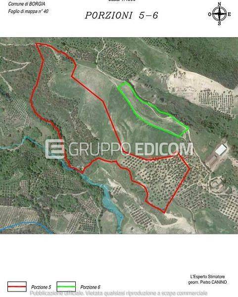 immagine annuncio 3 di 6