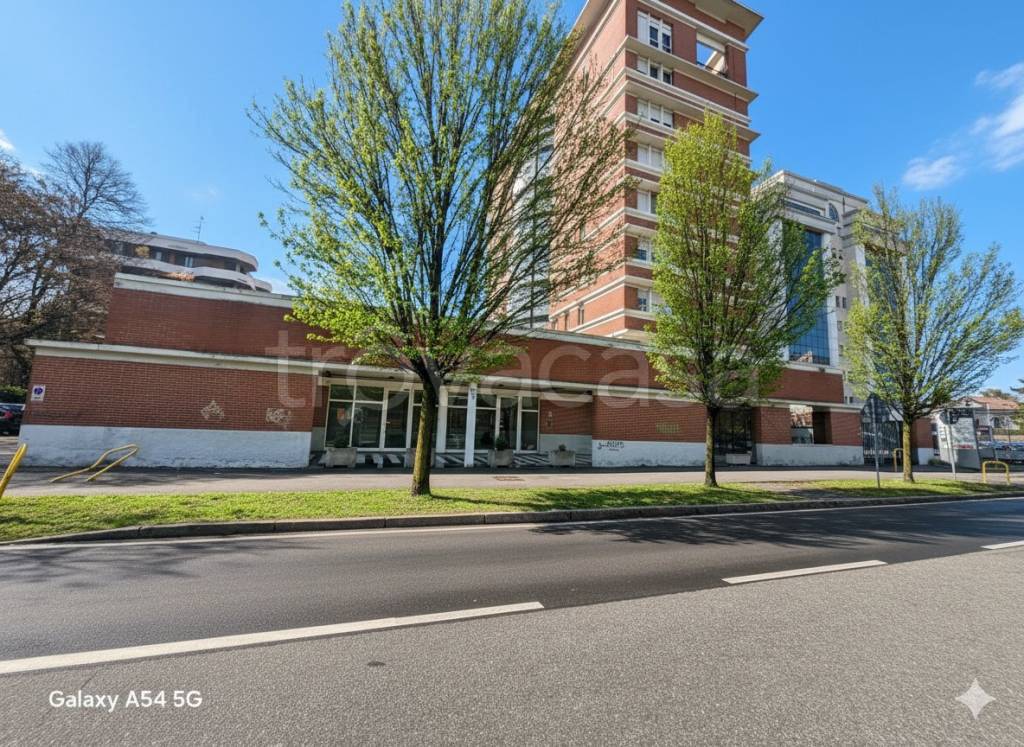 immagine annuncio 3 di 13