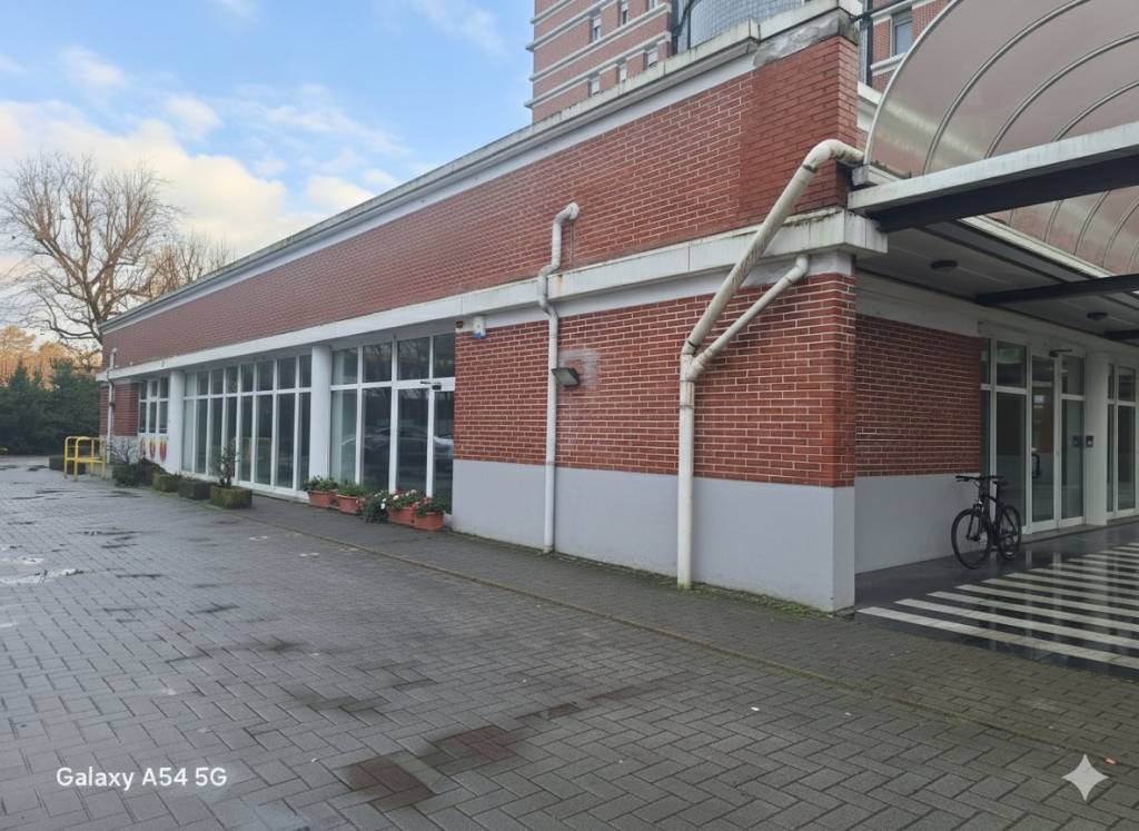 immagine annuncio 1 di 13