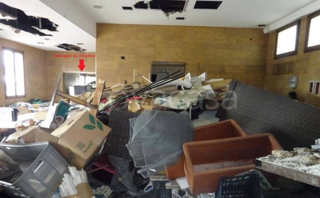 immagine annuncio 12 di 14