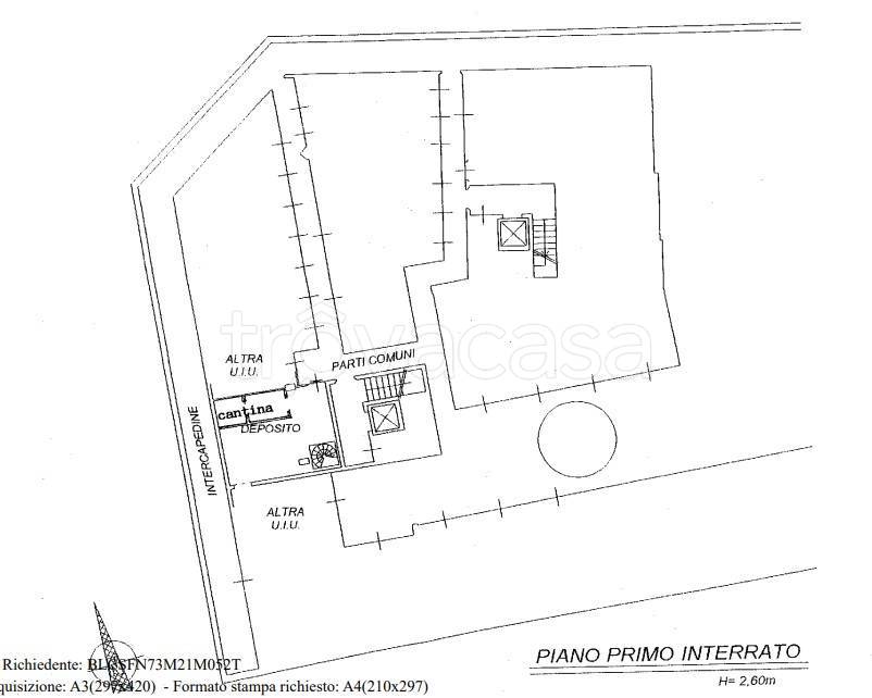 immagine annuncio 11 di 13