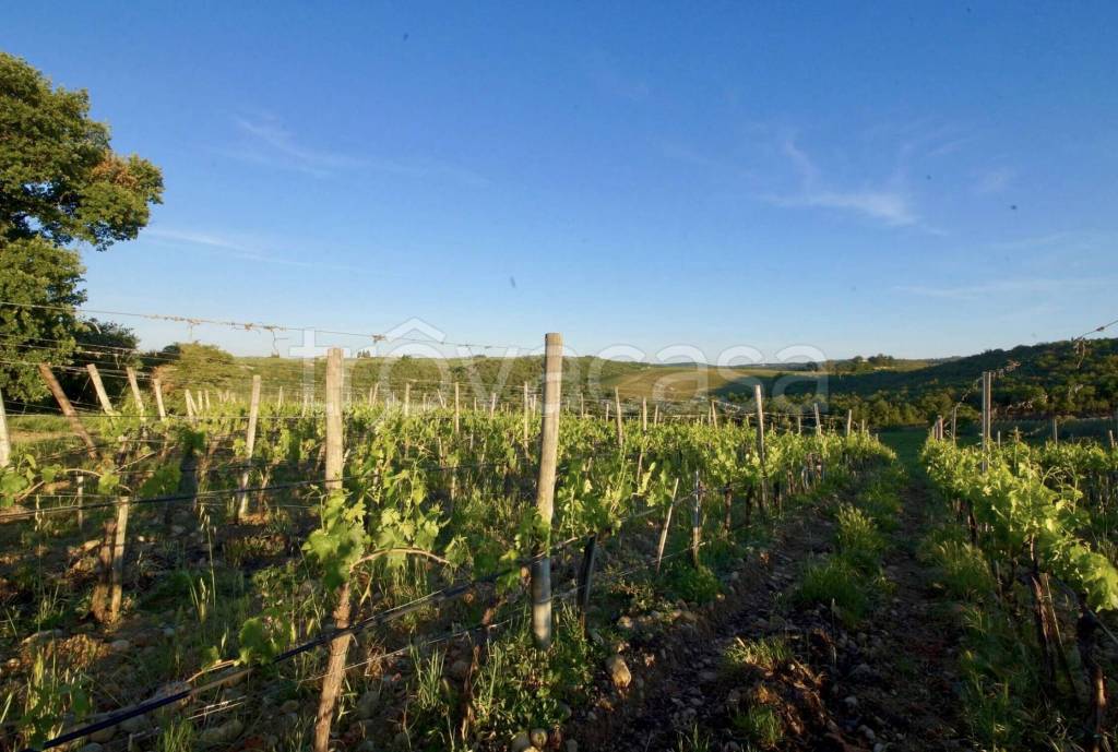 immagine annuncio 5 di 11