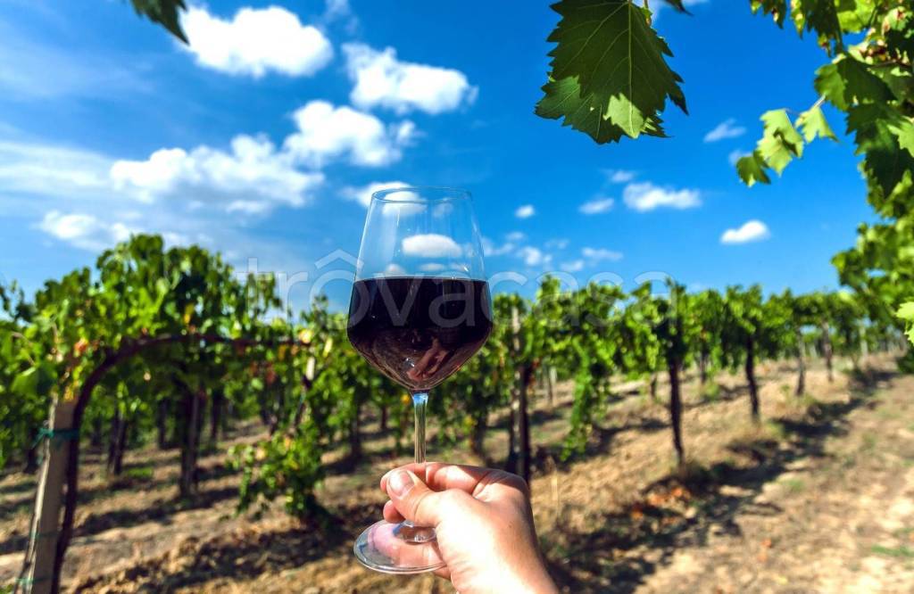 immagine annuncio 6 di 11