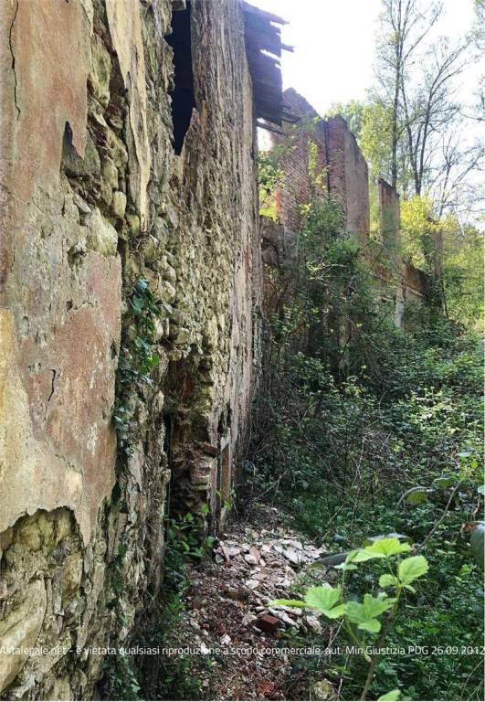 immagine annuncio 5 di 12