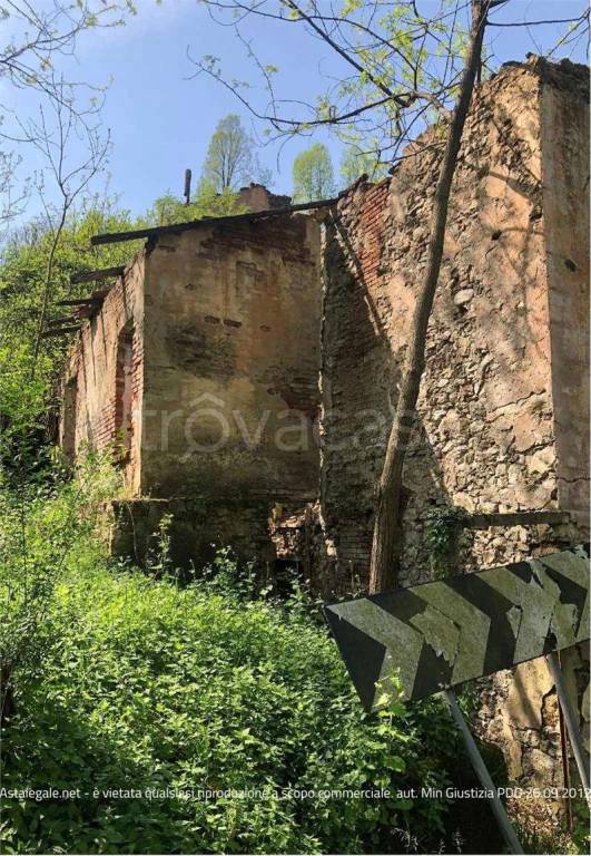 immagine annuncio 6 di 12