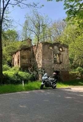 immagine annuncio 11 di 12