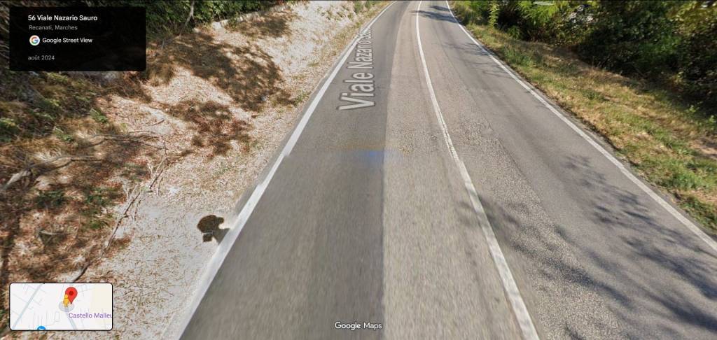 immagine annuncio 1 di 13