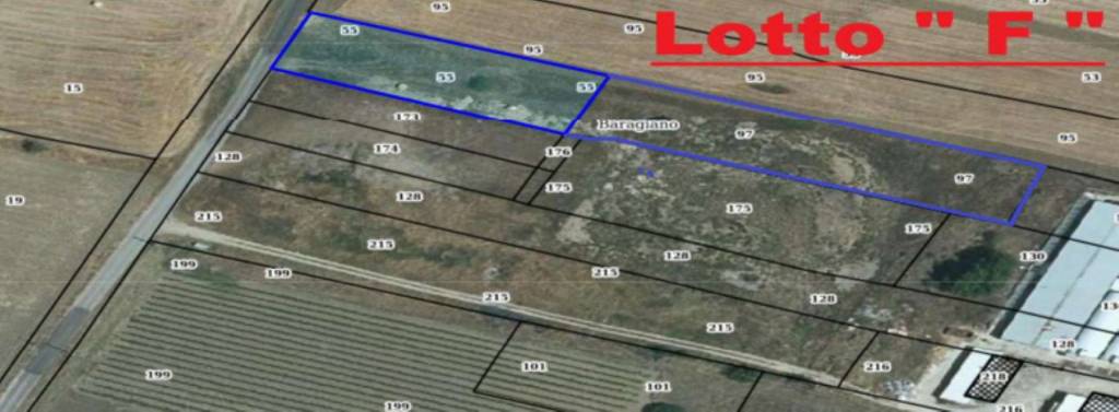 immagine annuncio 10 di 11