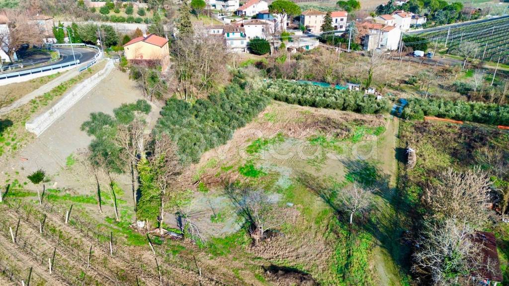 immagine annuncio 6 di 13