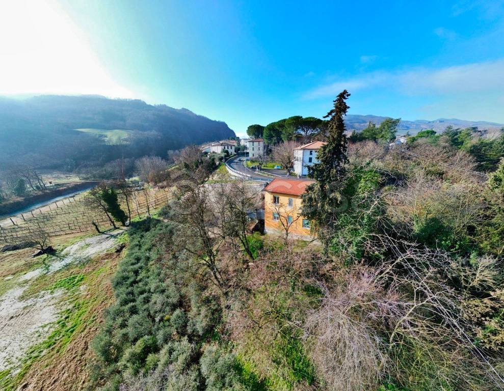 immagine annuncio 11 di 13