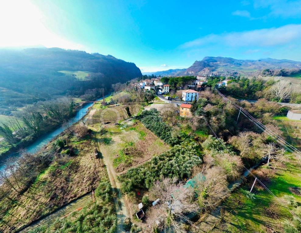 immagine annuncio 12 di 13