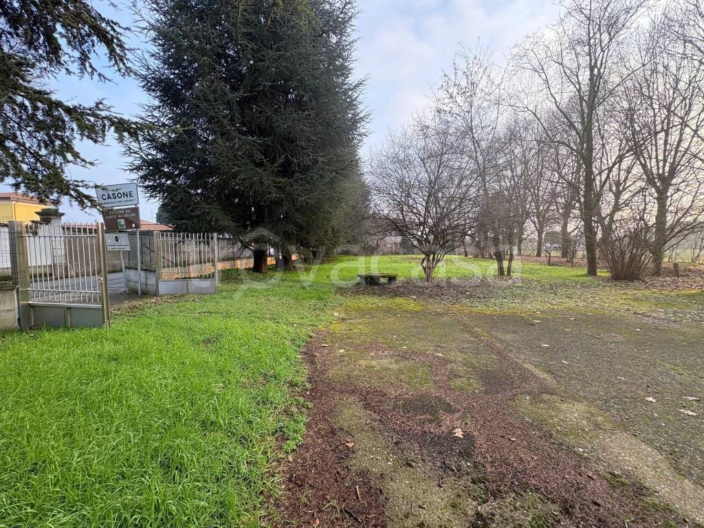 immagine annuncio 2 di 4