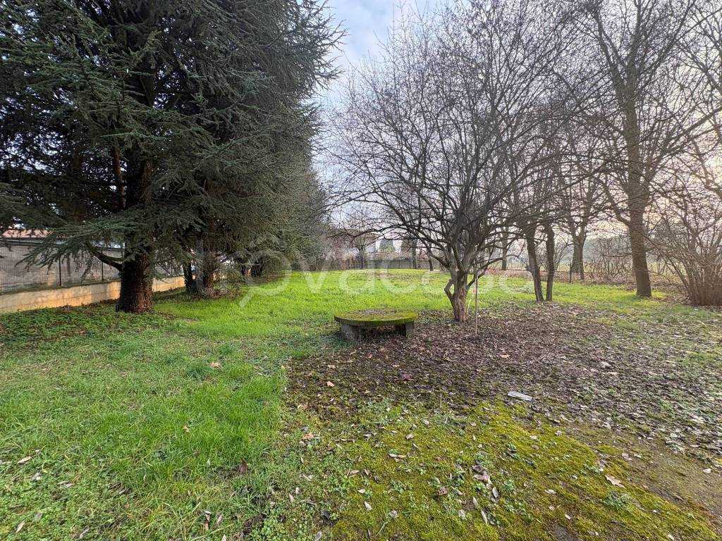 immagine annuncio 3 di 4