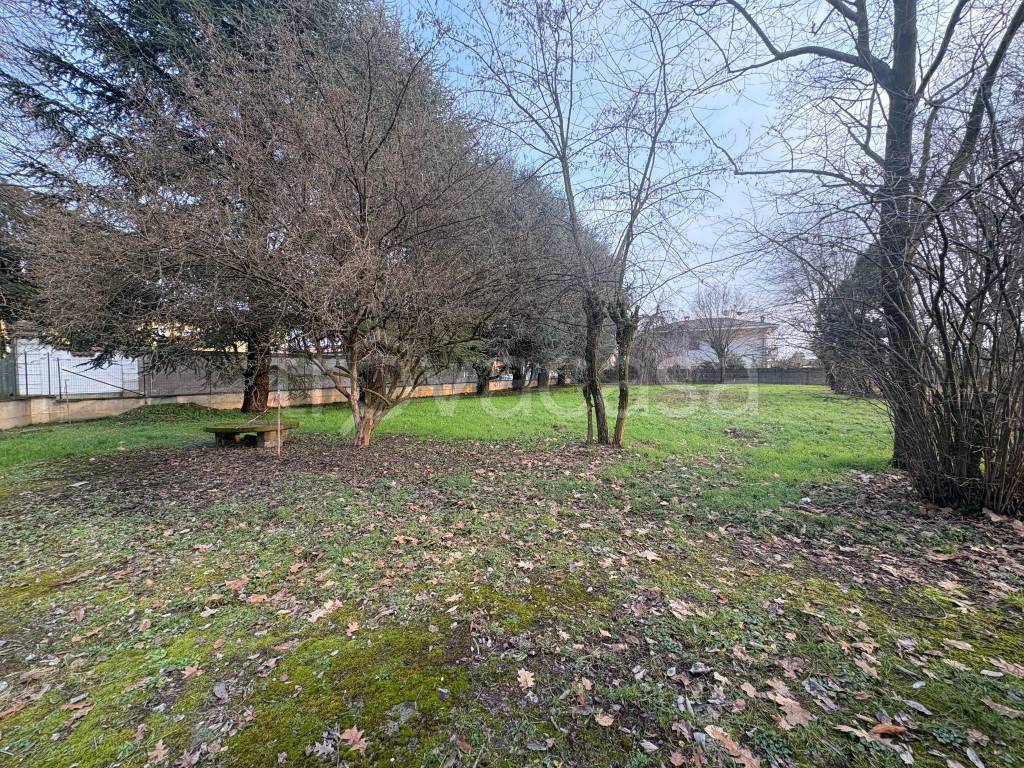 immagine annuncio 1 di 4