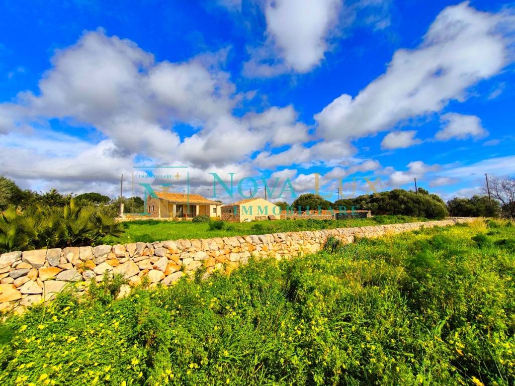 immagine annuncio 6 di 8