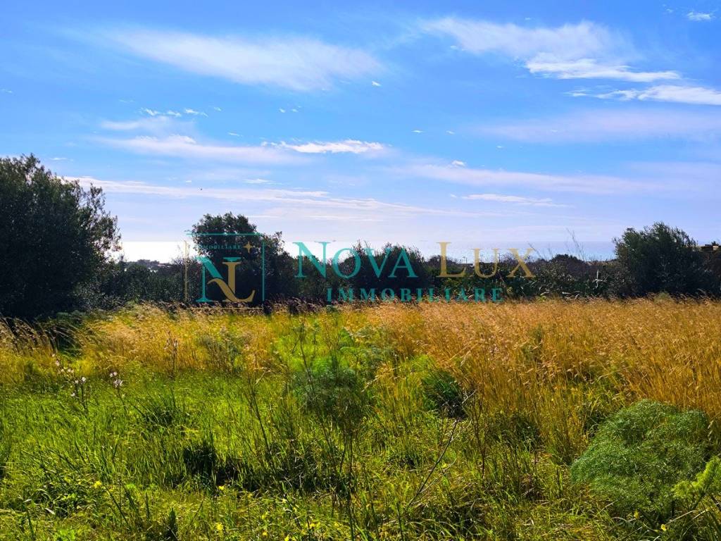 immagine annuncio 4 di 8