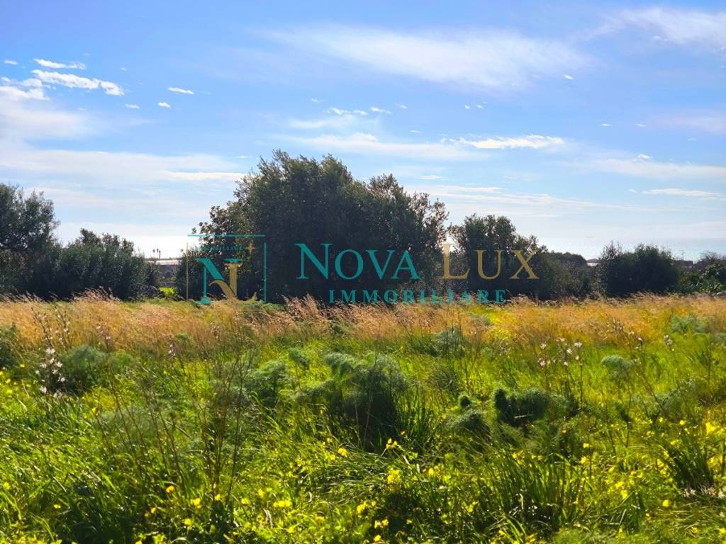 immagine annuncio 1 di 8