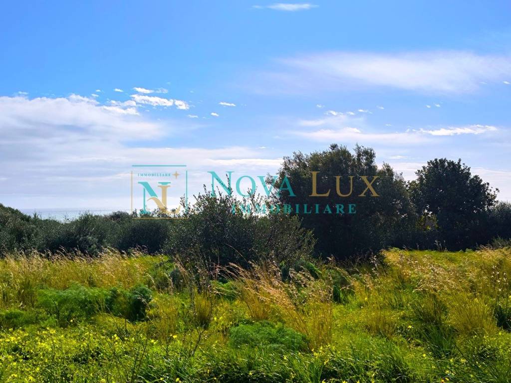 immagine annuncio 3 di 8