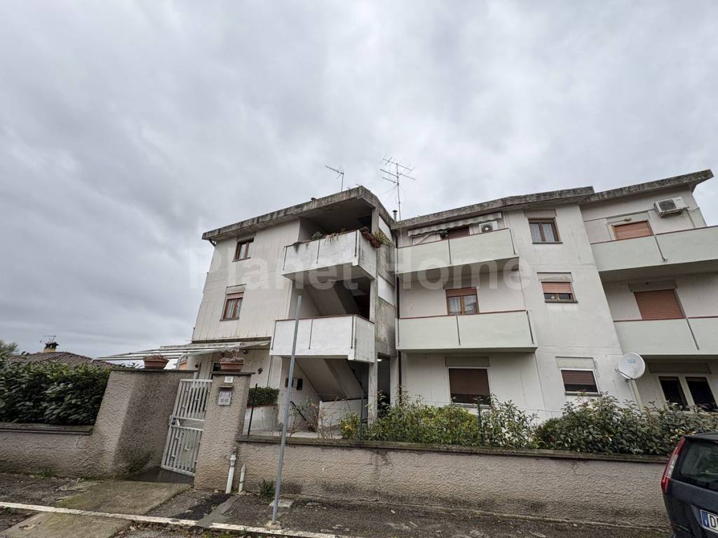 immagine annuncio 1 di 14