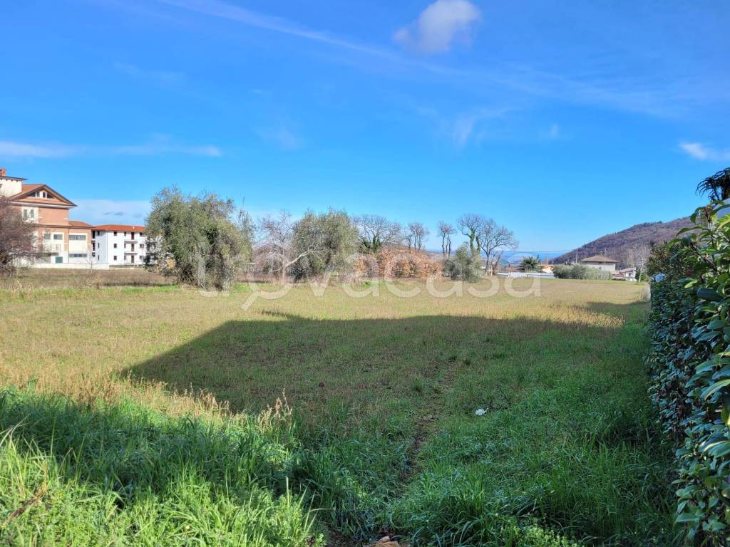 immagine annuncio 7 di 14