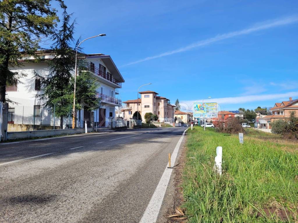 immagine annuncio 12 di 14