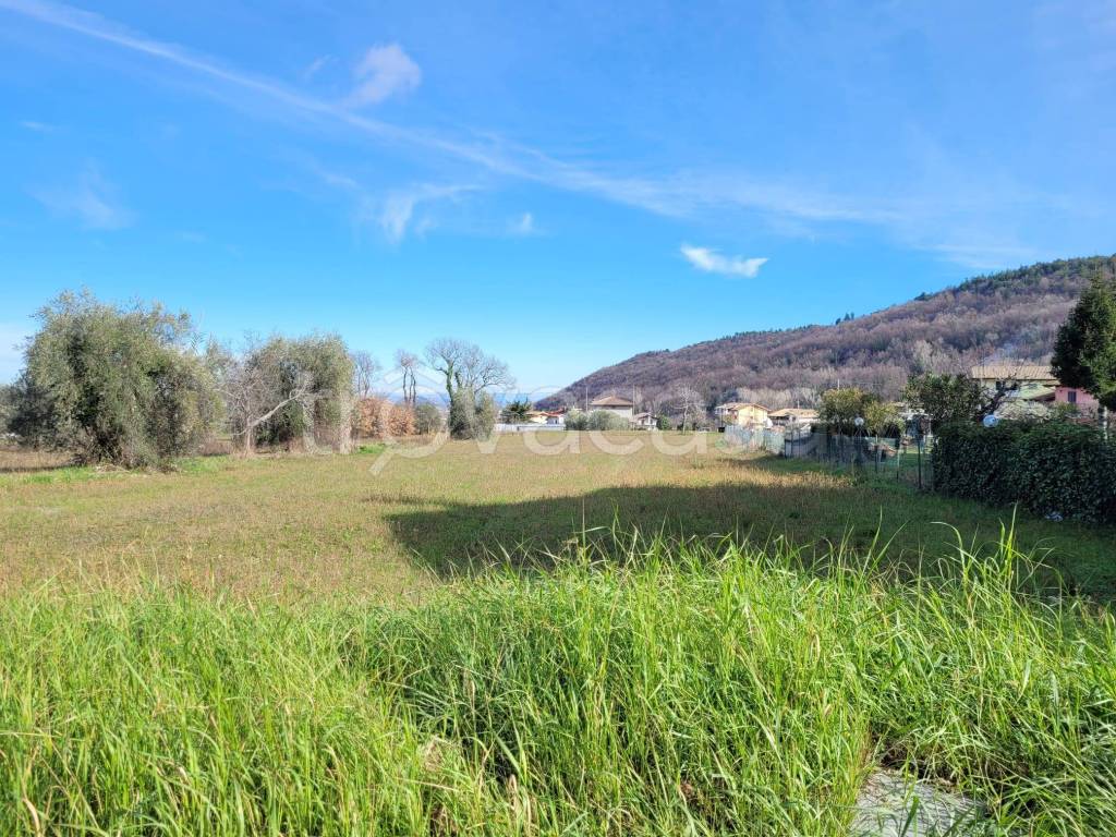 immagine annuncio 9 di 14