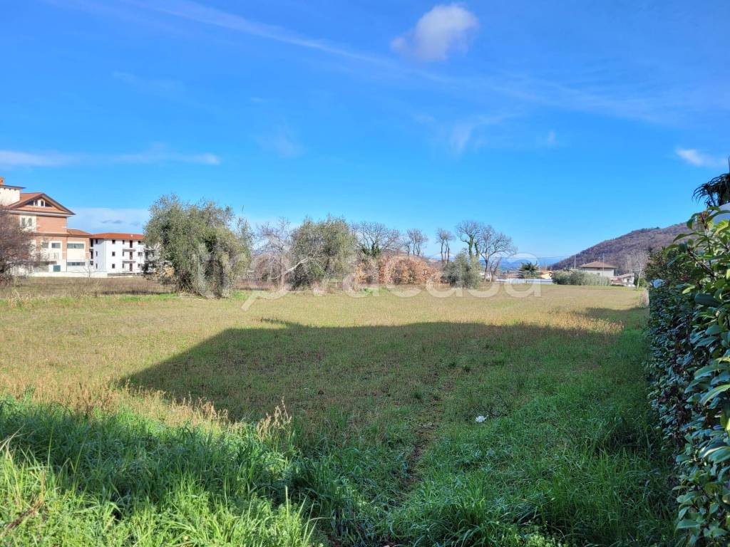 immagine annuncio 6 di 14