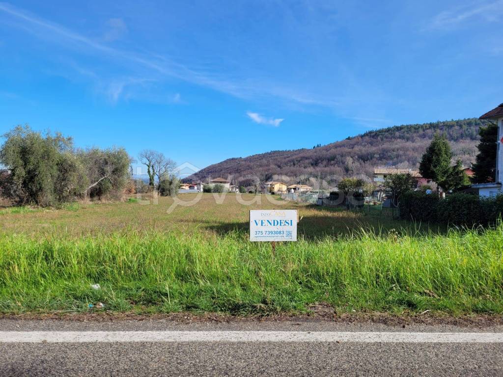 immagine annuncio 4 di 14